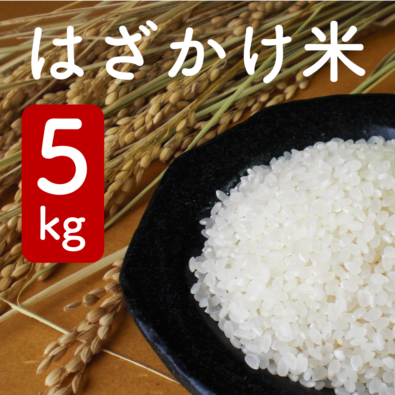 昔ながらの『天日干しはざかけ米 コシヒカリ』 | たはたタカハシ